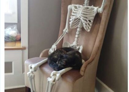 LA PIÈCE DE L’OUTRAGE À LA RÈGLE UNIVERSELLE