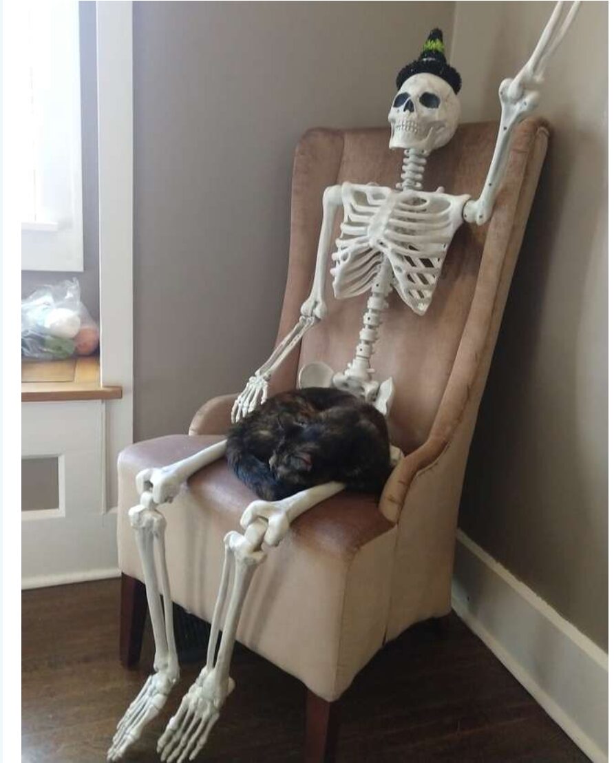 LA PIÈCE DE L’OUTRAGE À LA RÈGLE UNIVERSELLE