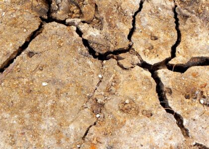 LA SALLE AUX POLYGONES