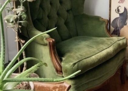 LA SALLE CONFORTABLE POUR LES EXPLICATIONS