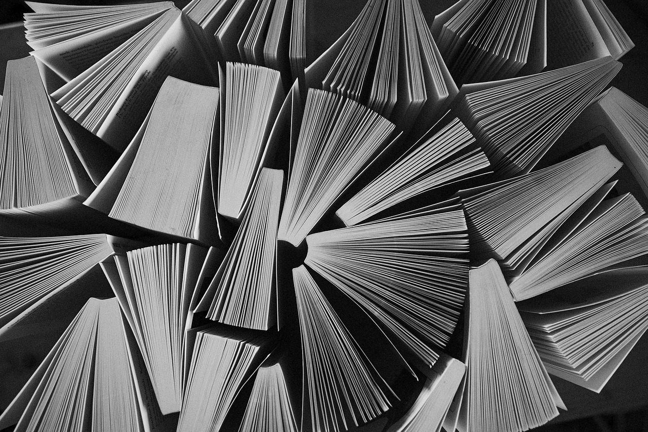 LA PIÈCE AUX MOTS VOLANTS