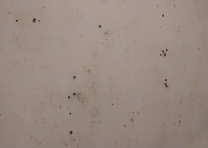 LES ANCIENS BUREAUX DES AFFECTATIONS