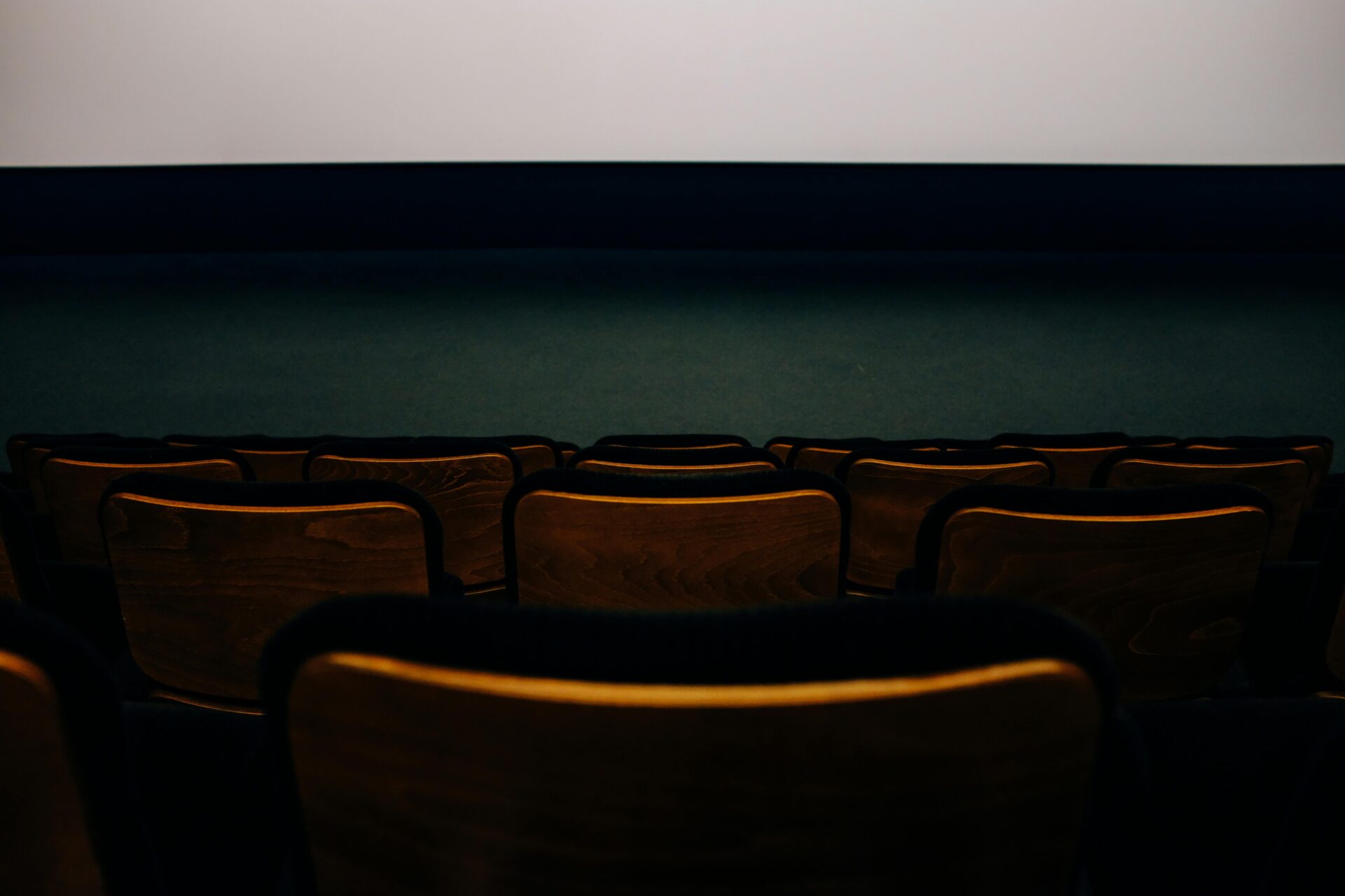 L&rsquo;AUDITORIUM DU COMITÉ