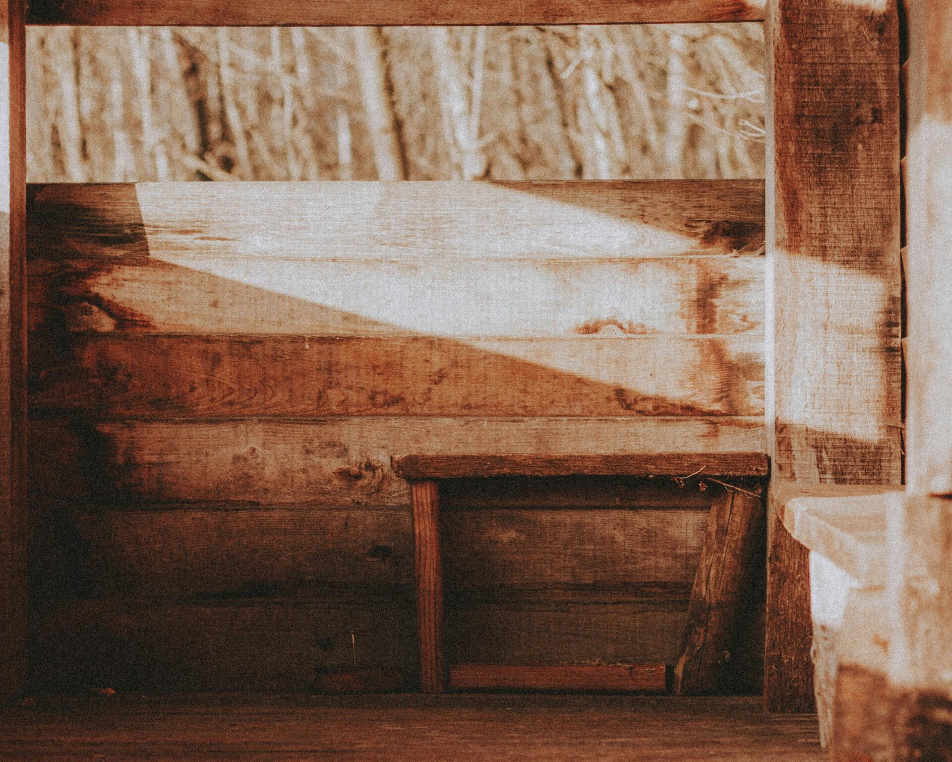 LA CABANE, AU FOND DU JARDIN