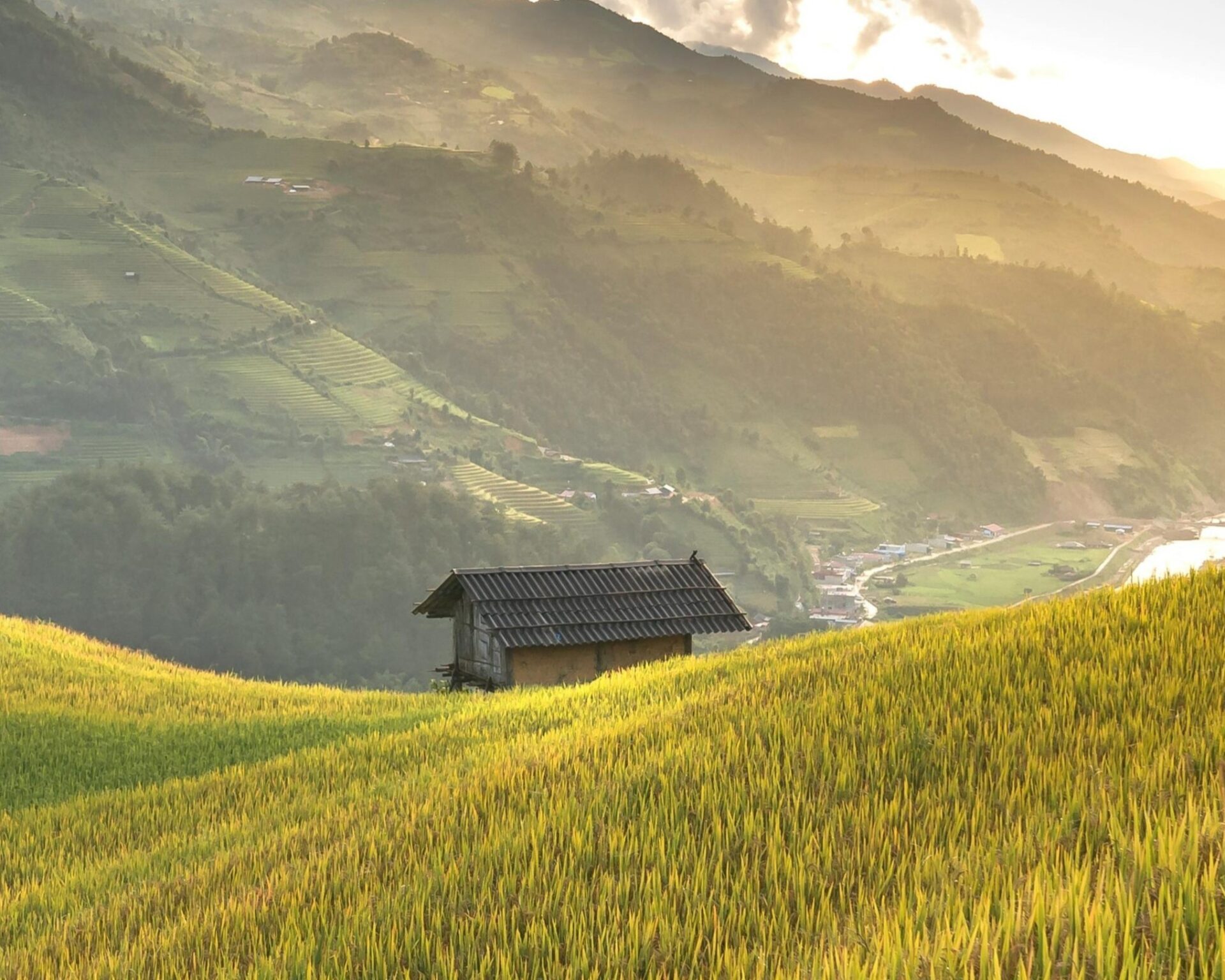 L&rsquo;IMMENSE JARDIN D&rsquo;EXPIRATION