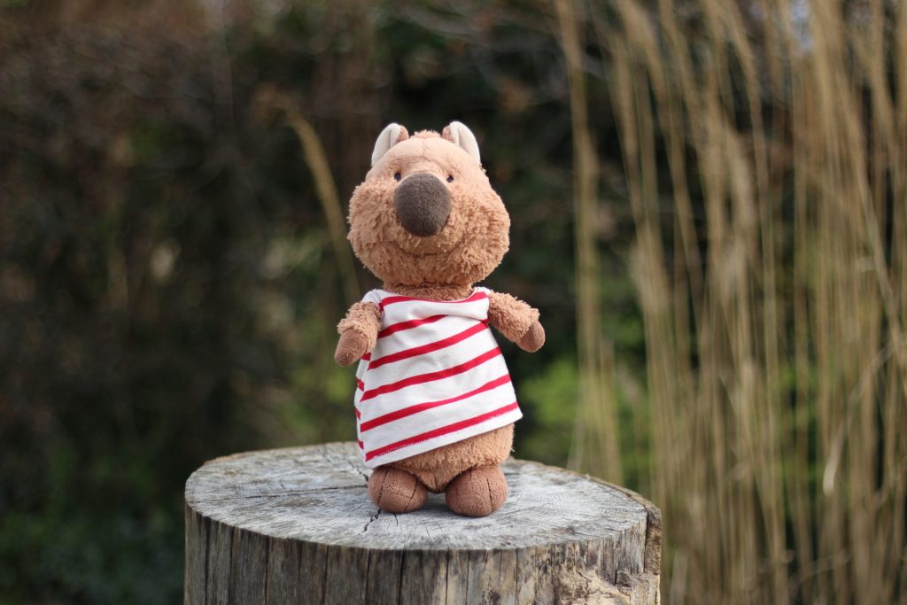 Photo d'un doudou quokka très mignon perché sur un tronc d'arbre