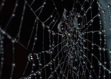 LE BUREAU DU DR ASHVIN