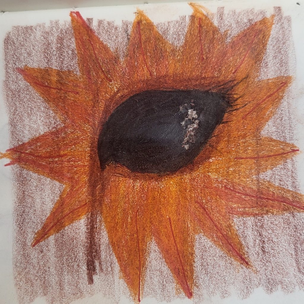 dessin au crayon de couleur censé représenter un oeil d'âne très noir, avec des petits reflets lumineux, œil entouré d'une espèce d'étoile ou de soleil ou quelque chose de lumineux et rayonnant qui a l'air spécial et attire le regard