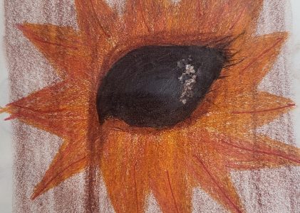 L&rsquo;ÉCURIE DE LA TAVERNE DE L&rsquo;ENTRE-TROU