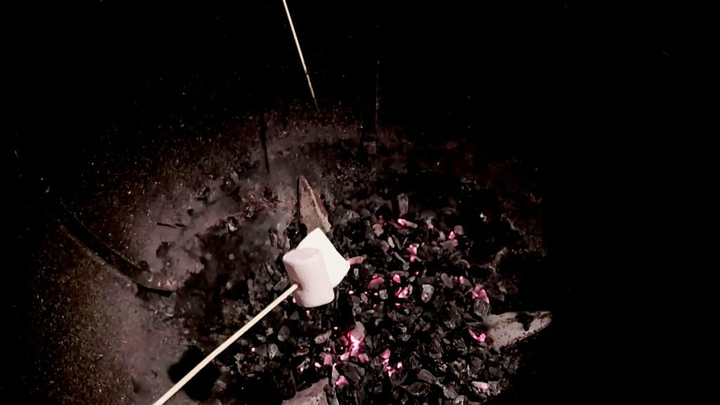 des chamallows sur des pics à brochette au-dessus des braises d'un barbecue