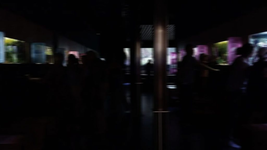 pièce plongée dans l'obscurité avec des écrans sur les côtés et des gens devant. Le tout est flou