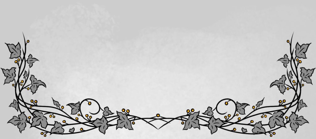 enluminures végétales sur fond gris