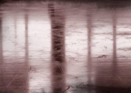 DÉFINITIVEMENT PAS LES TOILETTES DU RESTAURANT