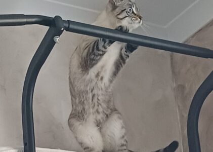 LA MAISON AVEC PLEIN DE JEUX SUPER FUN