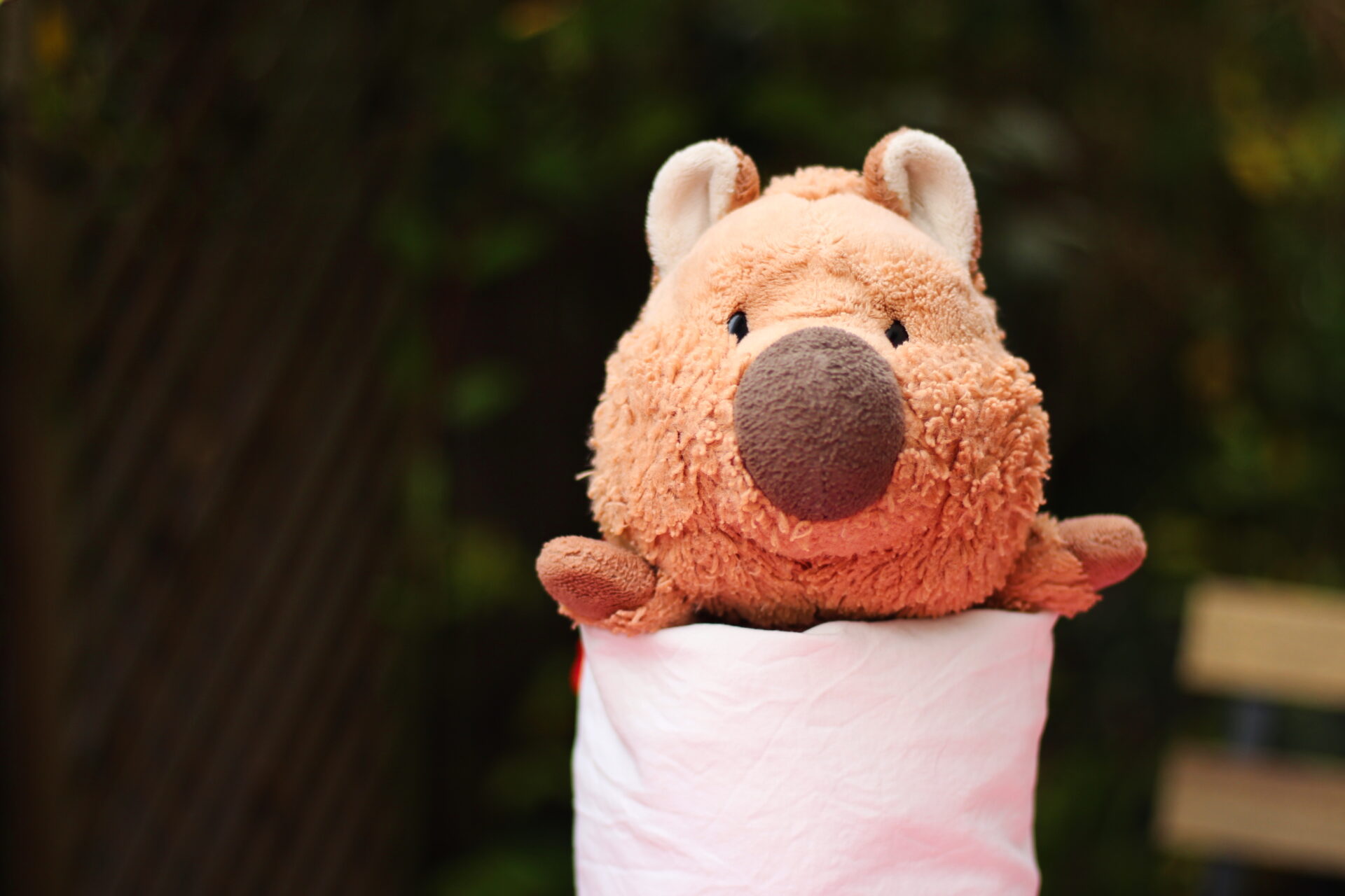 LE VESTIAIRE DE L’HÔTEL SPA