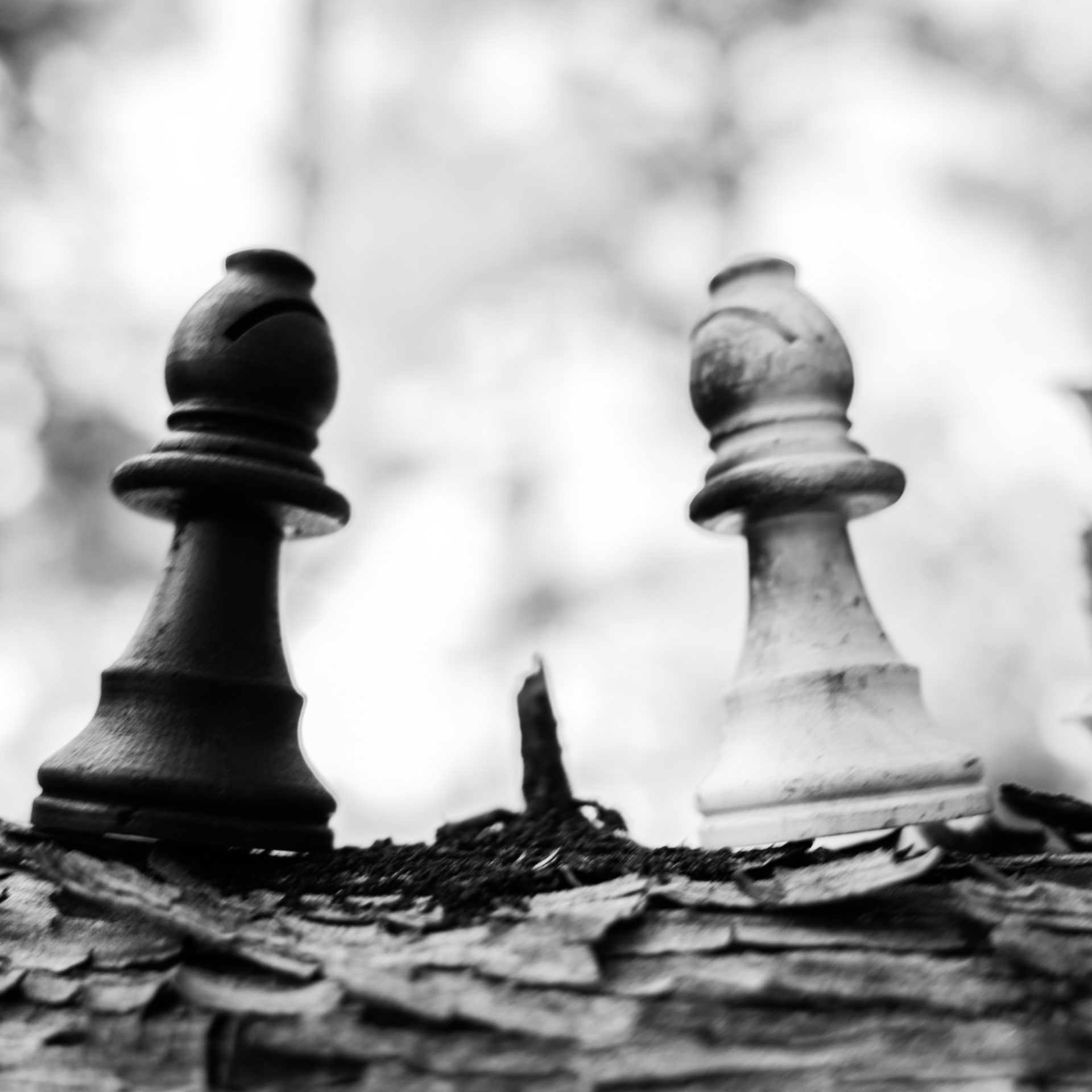 LE PONT DES FOUS (E3-C5)