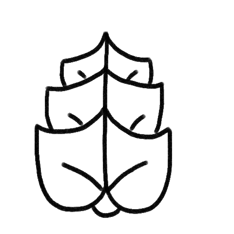 glyphes en castellain classique du lierre
