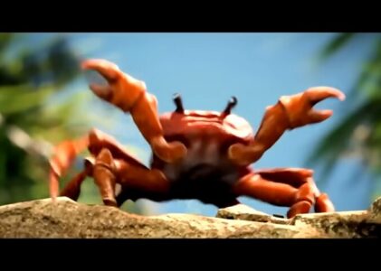 LA PIÈCE OÙ JE RESET LA LIGNE Y