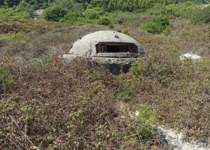 LA TOUTE PETITE MAISON AU CŒUR FRAGILE