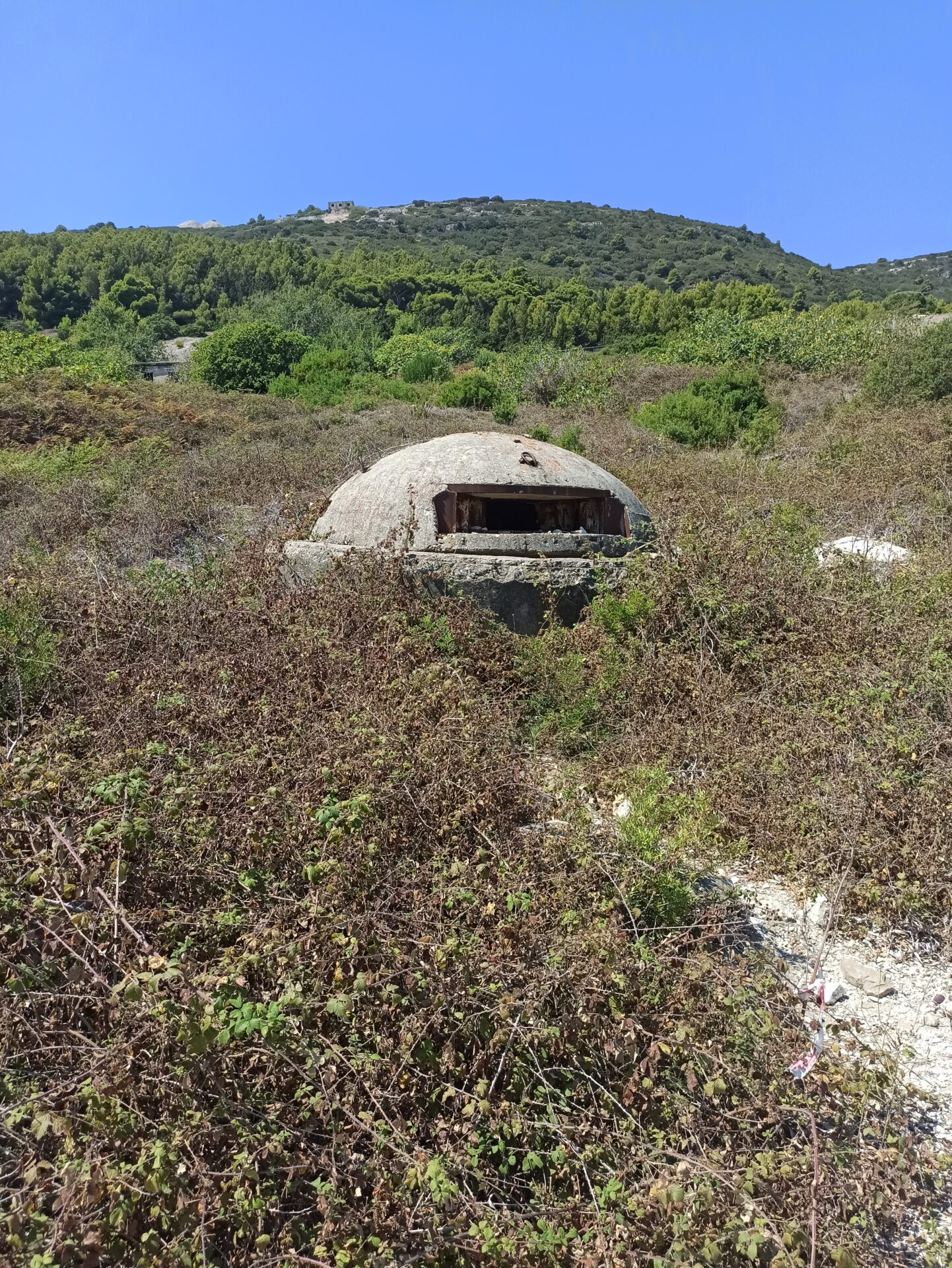 Ancien bunker vu de l'extérieur avec de l'herbe autour