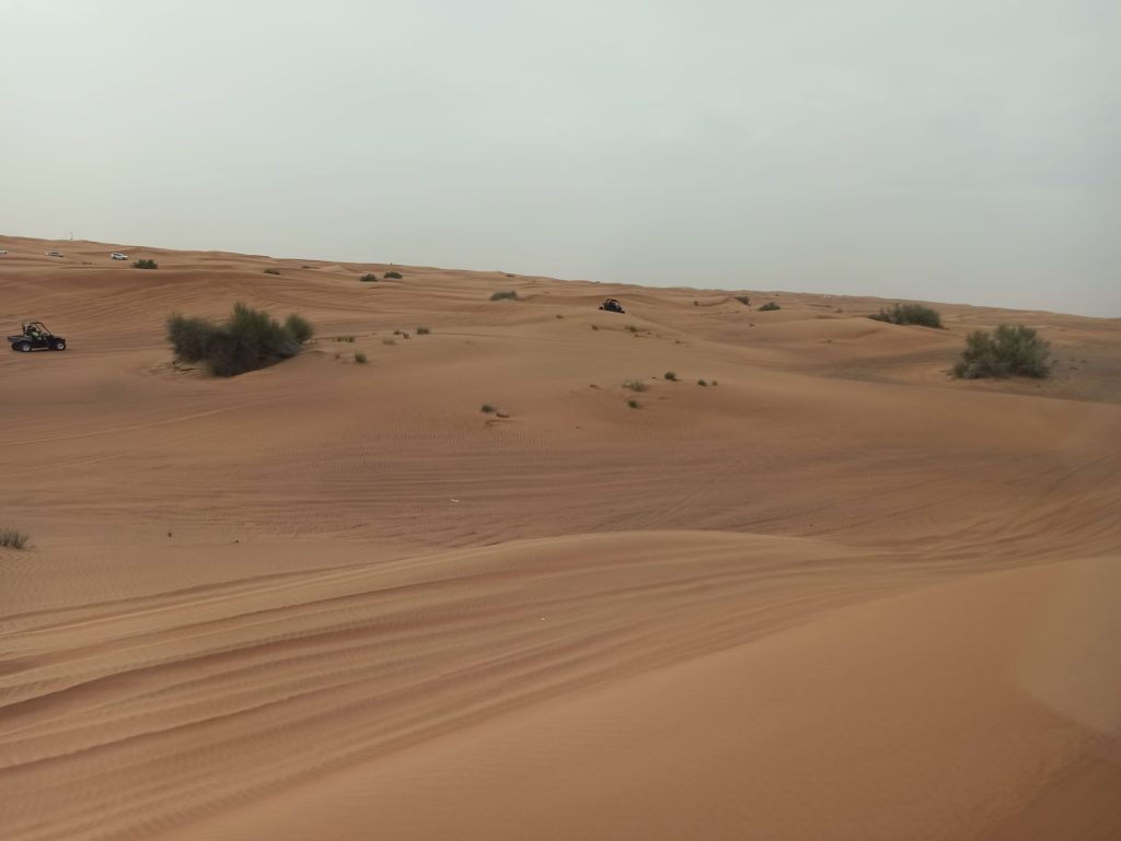 Dunes dans le désert avec quelques buissons.