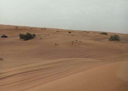 LE DÉSERT OÙ SE PRODUIT L’IMPOSSIBLE