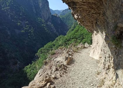 LA GROTTE OÙ ON SURVEILLE NOS POURSUIVANTS