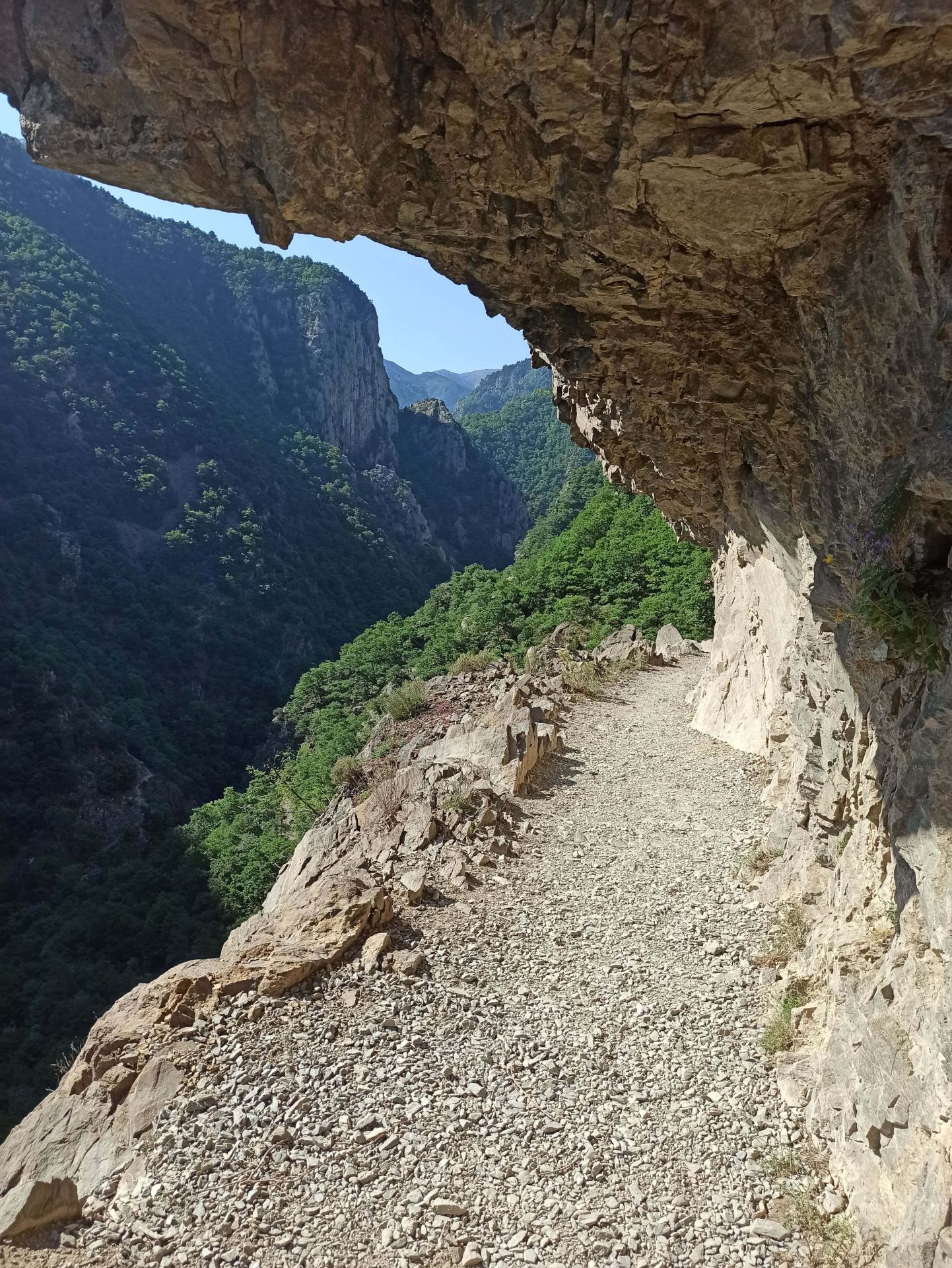 LA GROTTE OÙ ON SURVEILLE NOS POURSUIVANTS