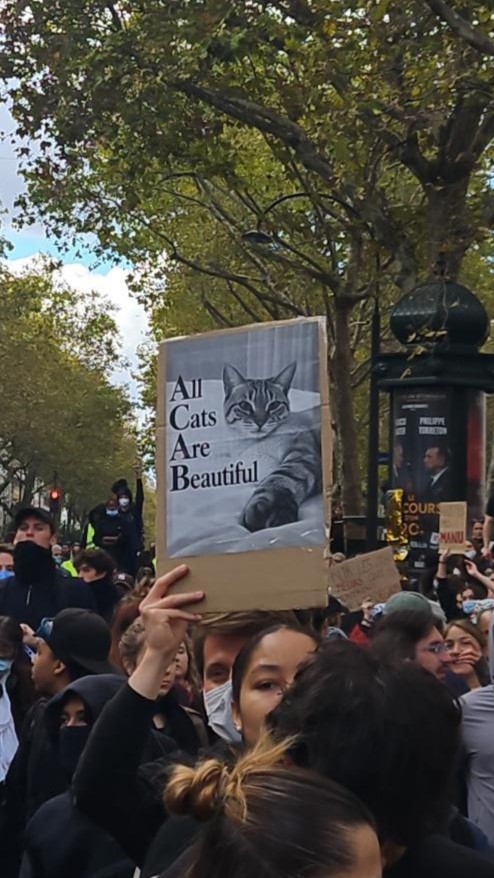 Une manifestation et une pancarte avec écrit All Cats Are Beautiful